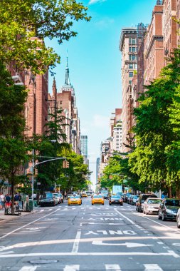 Gökdelenler, sarı taksiler ve açık mavi gökyüzü altındaki yemyeşil ağaçlarla kaplı New York şehrinin parlak ve canlı manzarası şehir yaşamını ve mimarisini yakalıyor..