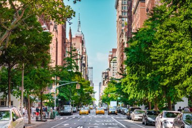 Dolu bir New York caddesinin özünü yansıtan canlı bir sahne gür ağaçlar, hareketli trafik ve parlak bir gökyüzü altında ikonik sarı taksiler..