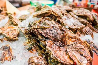 Deniz ürünleri pazarı, buzda taze istiridye ve deniz yosunlarıyla çevrili. Kıyı tatlarını ve nefis yemek deneyimlerini keşfetmeye hevesli aşçılar ve deniz ürünleri severler için mükemmel.
