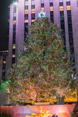 Canlı ışıklarla süslenmiş büyük bir Noel ağacı, şehir manzarasını aydınlatır, modern bir binanın önünde dimdik durur, bayram sezonunun coşkusunu ve neşesini somutlaştırır. İkonik ve neşeli.
