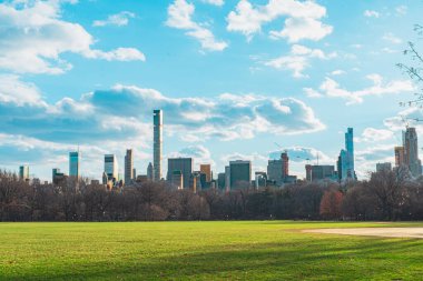 Central Park 'tan New York şehrinin ikonik siluetini gösteren manzaralı bir manzara. Gökdelenler berrak, mavi bir gökyüzü altında kabarık bulutlarla huzurlu bir vaha oluşturur..