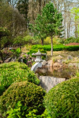 Huzurlu Japon bahçe sahnesinde doğal güzellikler vasıtasıyla huzur ve ahengi çağrıştıran yemyeşil bitki ve ağaçlarla çevrili sakin bir göletin yanında geleneksel bir taş fener bulunuyor..