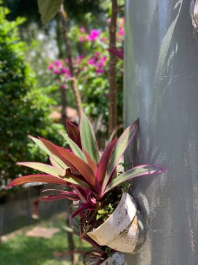 Bahçeyi dekore etmenin güzel bir yolu.