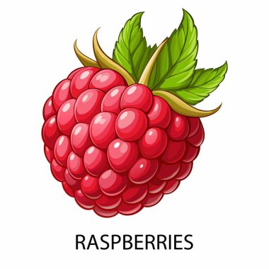 Beyaz arka planda çizgi film tarzında ahududu. Vektör illüstrasyonu.