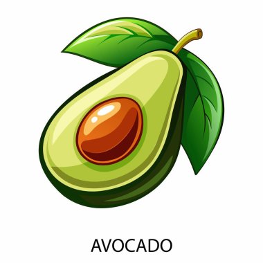 Beyaz arka planda Avokado çizgi film tarzında. Vektör illüstrasyonu.