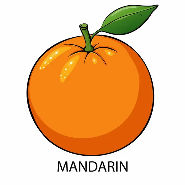 Beyaz arka planda çizgi film tarzında Mandarin. Vektör illüstrasyonu.