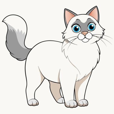 Burmese White Fluffy cat vector illustration isolated on white background in cartoon style. clipart