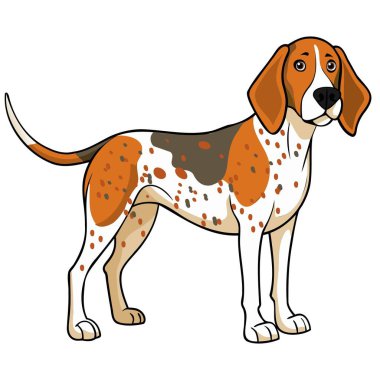 Amerikan İngiliz Coonhound köpek vektör illüstrasyonu karikatür tarzında beyaz arkaplanda izole.
