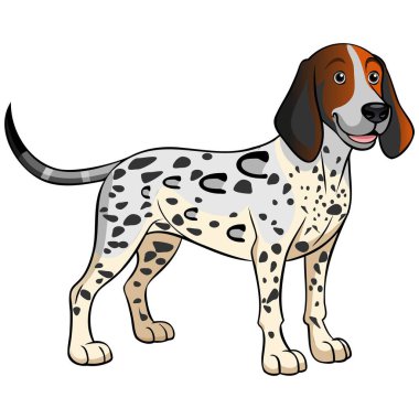 Amerikan Leoparı Hound köpek vektör çizimi karikatür tarzında beyaz arkaplanda izole edildi.