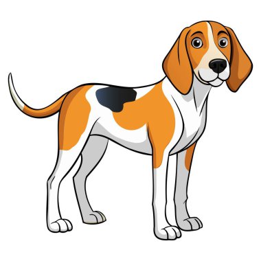 Anglo-Francais de Petite Venerie köpek vektör çizimi karikatür tarzında beyaz arkaplanda izole edildi.