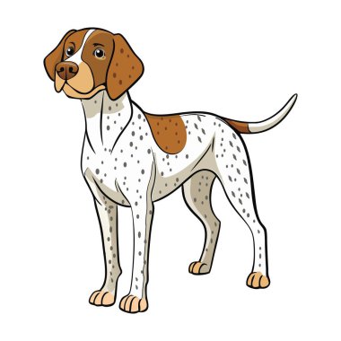 Ariege Pointer köpek köpek vektör çizimi çizgi film tarzında beyaz arkaplanda izole edildi.