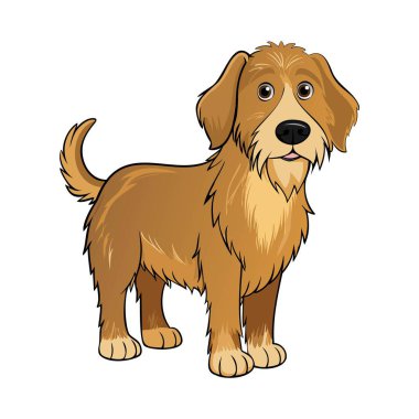 Çizgi film tarzında beyaz arkaplanda izole edilmiş Barak veya Bosnalı Kırık Saçlı Tazı vektör çizimi.