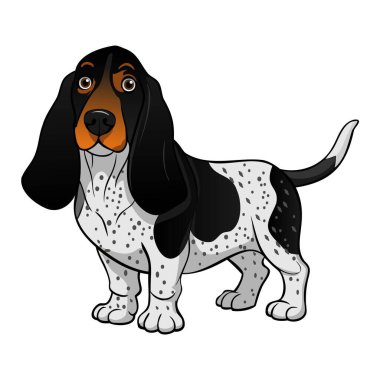 Basset Bleu de Gascogne Köpek cins vektör çizimi çizgi film tarzında beyaz arkaplanda izole edildi.