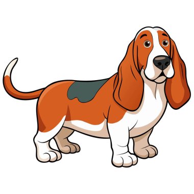Basset Hound Dog cins vektör çizimi beyaz arkaplanda karikatür tarzında izole edilmiştir.