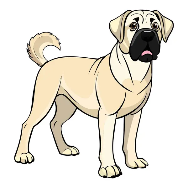 Aksaray Malaklisi köpek vektör illüstrasyonu çizgi film tarzında beyaz arkaplanda izole edildi.