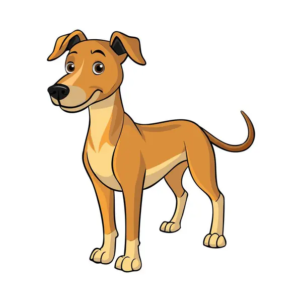 Banjara Hound köpek vektör çizimi çizgi film tarzında beyaz arkaplanda izole.