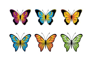 Vektör kelebek koleksiyonu. Suluboya çizimi. Renkli Kelebekler klip seti. Bebek partisi tasarım elemanları. Parti davetiyesi, doğum günü kutlaması. Bahar, yaz dekorasyonu. Pembe sarı kırmızı palet