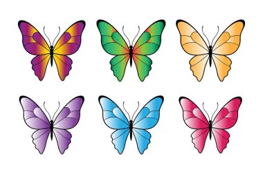 Vektör kelebek koleksiyonu. Suluboya çizimi. Renkli Kelebekler klip seti. Bebek partisi tasarım elemanları. Parti davetiyesi, doğum günü kutlaması. Bahar, yaz dekorasyonu. Pembe sarı kırmızı palet