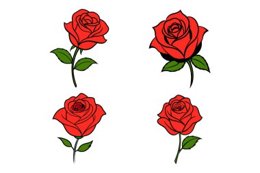 çiçekler, yapraklar çok renkli gül kümesi