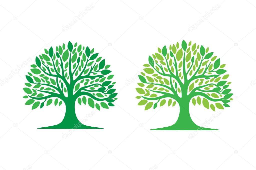 Botanic tree logo mark design. Organic nature icon. Natural plant emblem. Tree of life symbol. Vector illustration.