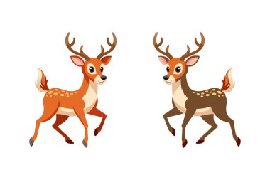 vektör sika geyiği, eksen geyiği, samba geyiği beyaz arka planda izole edilmiş.