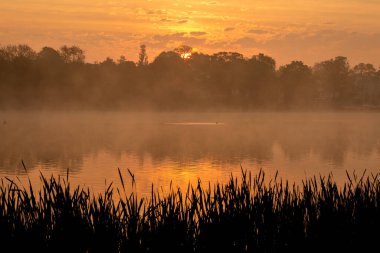 Sunrise - Danson Park, Bexleyheath.