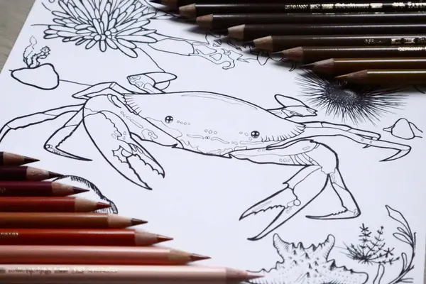 Okyanus Zemini Sualtı Sahnesi, Deniz Yaşamı Renklendirme Sayfaları, Çocuklar ve Yetişkinler için Yengeç Renkli Çarşaf. Stok fotoğrafı. Yüksek Kalite Resim