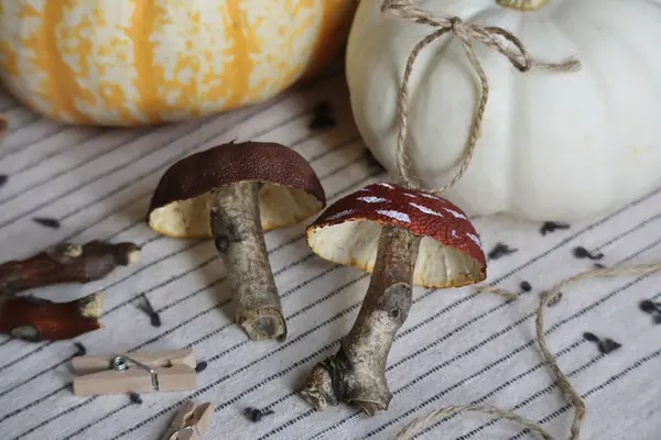 Portakal kabukları ve dallardan yapılmış el yapımı mantar süslemeleri. Sonbahar temalı doğal malzemeli DIY dekoru. Yüksek kaliteli fotoğraf.