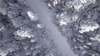 Karlı güzel kış manzarası