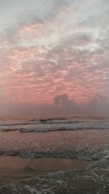 Düşen yaprakları ve bir sürü ağacı olan güzel bir sonbahar ormanı..