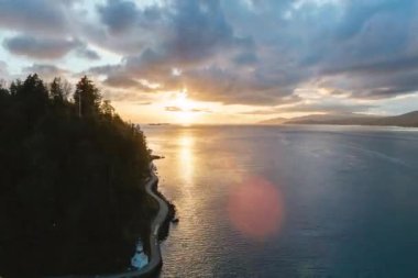 Düşen yaprakları ve bir sürü ağacı olan güzel bir sonbahar ormanı..