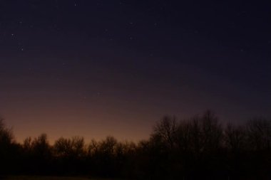 Düşen yaprakları ve bir sürü ağacı olan güzel bir sonbahar ormanı..
