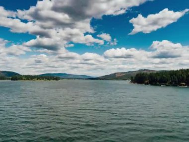 Düşen yaprakları ve bir sürü ağacı olan güzel bir sonbahar ormanı..