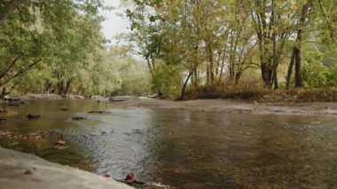 Ormanda nehri olan güzel bir manzara.