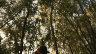 Ormanda güzel bir gün batımı