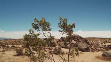 Çölde bir dağ manzarası