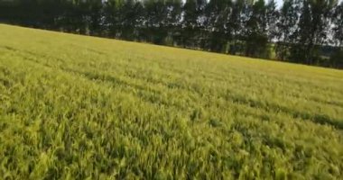 Doğanın güzel manzarası