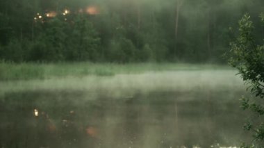 Ormanda sisli bir sabah