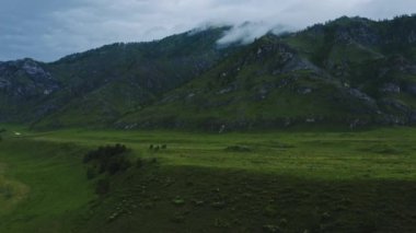 güzel yeşil dağ manzarası