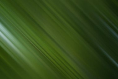 Bu yeşil arkaplan köşegen çizgileri içerir, canlı ve dinamik bir doku yaratır. Herhangi bir tasarım projesi veya sunumuna biraz doğa ve hareket katmak için ideal.