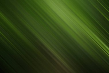 Çapraz hareket bulanıklığına sahip soyut yeşil bir zemin, ince ışık çizgileri ve derin, dengesiz bir atmosferle doğanın dinamizmini ve organik büyümesini çağrıştırıyor..