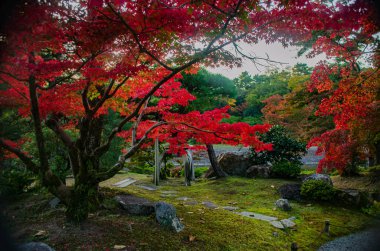 Sonbahar renkleriyle güzel bir zen bahçesi manzarası
