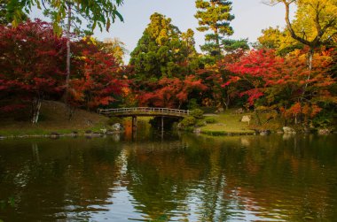 Sonbahar mevsiminde ağaçların kırmızı yapraklarıyla küçük bir göl..