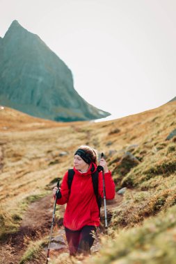 Kırmızı ceketli ve sopalı bir kız gezgin Kvalvika plajına gider. Lofoten Adaları, Norveç