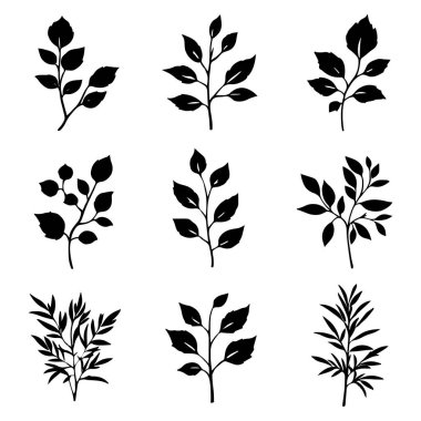 9 Koleksiyon Seti İzole Edilmiş Vektör Siluet Çizim Sanatı Yapılandırır