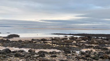 İskoç güzel plajı ve okyanus manzarası. Seton Sands Plajı, Craigielaw. Gün batımı günü. Sakin deniz ve deniz kuşları. Kum, taşlar ve kayalar