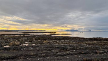 İskoç güzel plajı ve okyanus manzarası. Seton Sands Plajı, Craigielaw. Gün batımı günü. Sakin deniz ve deniz kuşları. Kum, taşlar ve kayalar