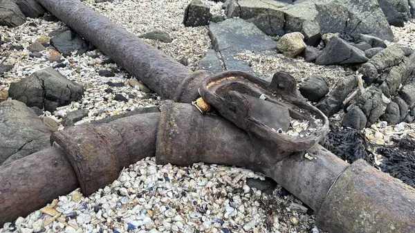 Plajdaki paslı eski metal boru tesisatı. Çevresel bozulma. 