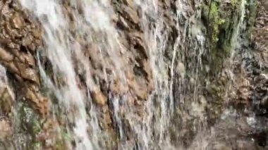 Çalılıklarda damlayan suyla birlikte şelale. Doğal su nehri