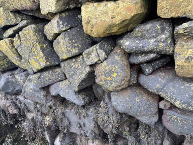 Taş dokusu, yıpranmış gri taşlar ve deniz yosunlarıyla kenar duvar.